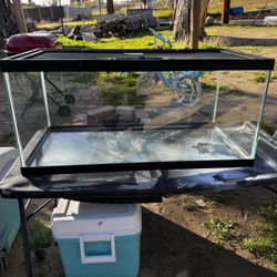 Zilla Deluxe Critter Cage Breeder Glass Terrarium with Enclosed Feeding Door - Black - 40 Gallon - L:36 X W:18 X H:16 Inches