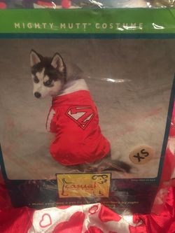 Pet super dog costume