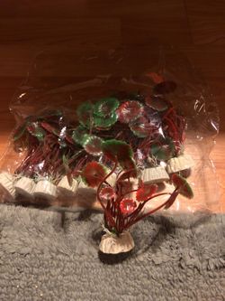 Fish tank decorations