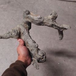 Aquarium With Accessories