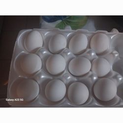 FRESH YARD EGGS 🥚 