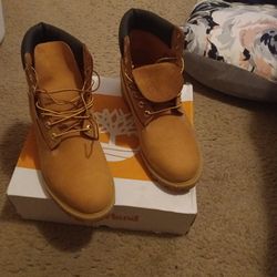 Size 13 BRAND NEW Timberland Boots