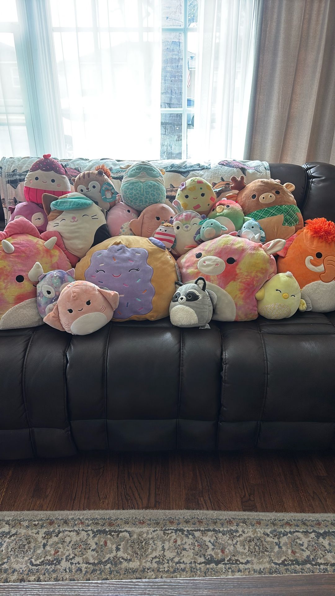 Squishmallow Bundle