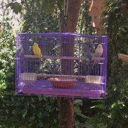 Bird Cage Medium Size 