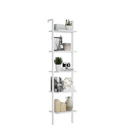 Ladder Shelf