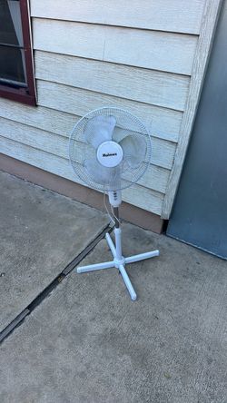 Fan