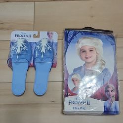 Elsa costume dress size 7-8 + wig and shoe
