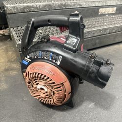 Leaf Blower Motor