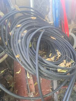 Hose