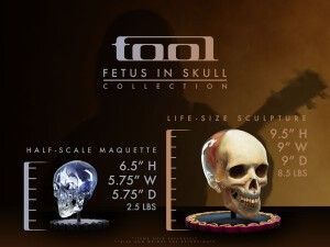 'The Fetus in Skull Life-Size Sculpture.'