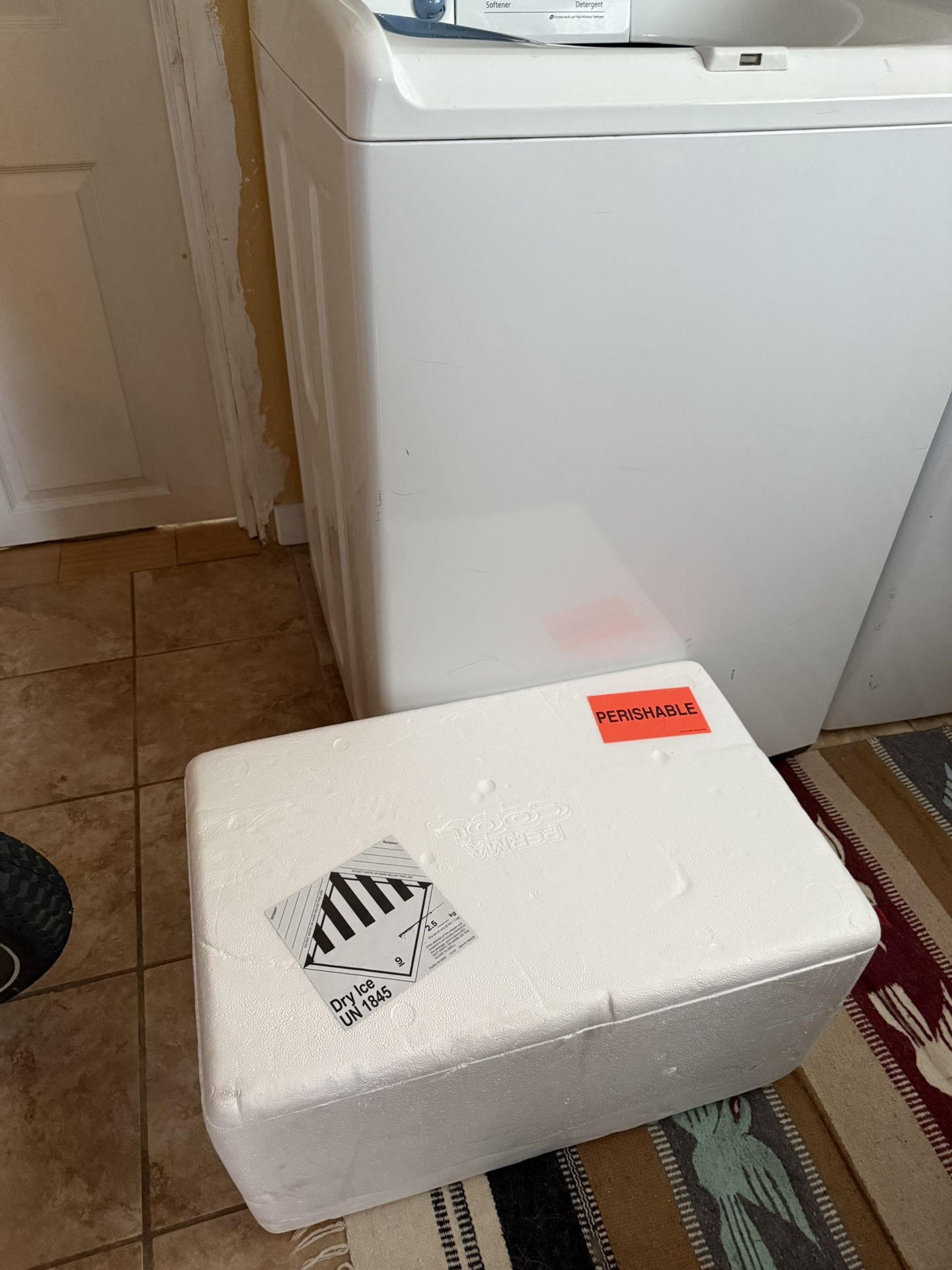 FREE Big Styrofoam Cooler