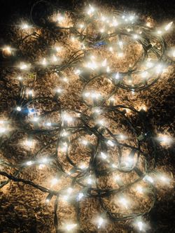 Christmas lights 🎄🎄