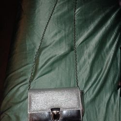 Silver Purse