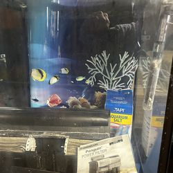 Fish Tank With Stand