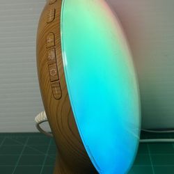 Smart Wake-Up Sunrise Alarm Clock Light Smart FM Radio Snooze Function! Wake Up