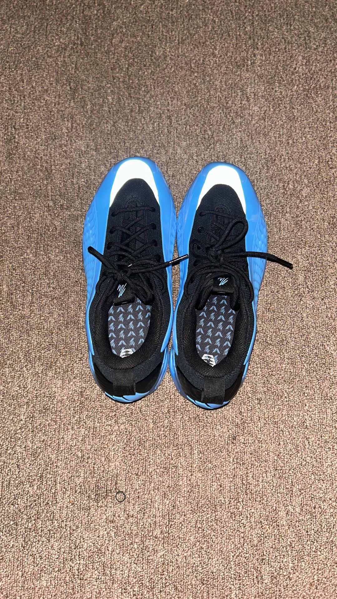 Anthony Edward 1s 9.5 Barely Used