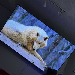 98” TCL Q6 (2024) 4k QLED TV