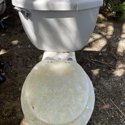 Toilet Round