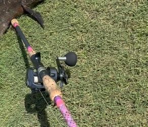 daiw lexa 400 tw on rainshadoe 8ft custom titan guided