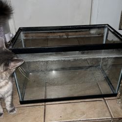 Fish Tank And Decorations