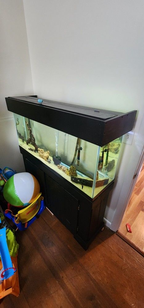 55 Gallon Fish Tank