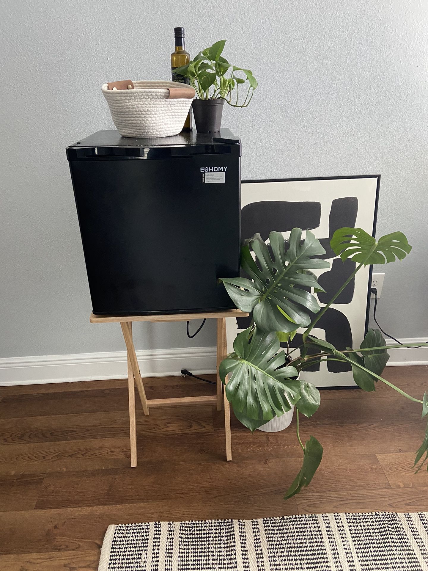 EUHOMY 1.7 Cu.Ft Mini Fridge (Larger Mini)