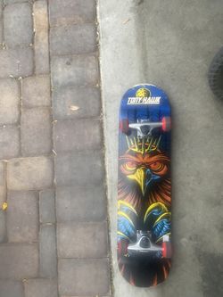 Skate Board