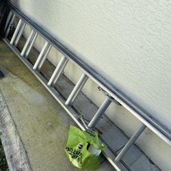 Extension Ladder 16 Feet