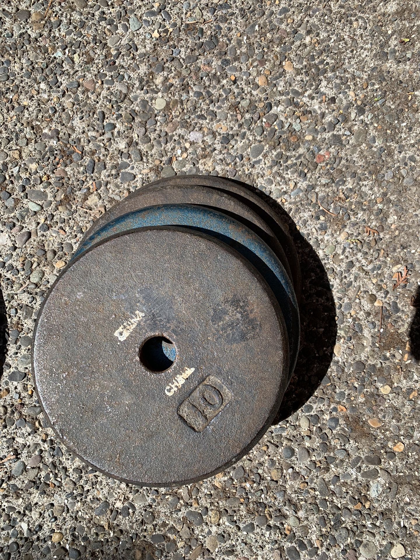 Four 10 Lbs Standard Weight Plates