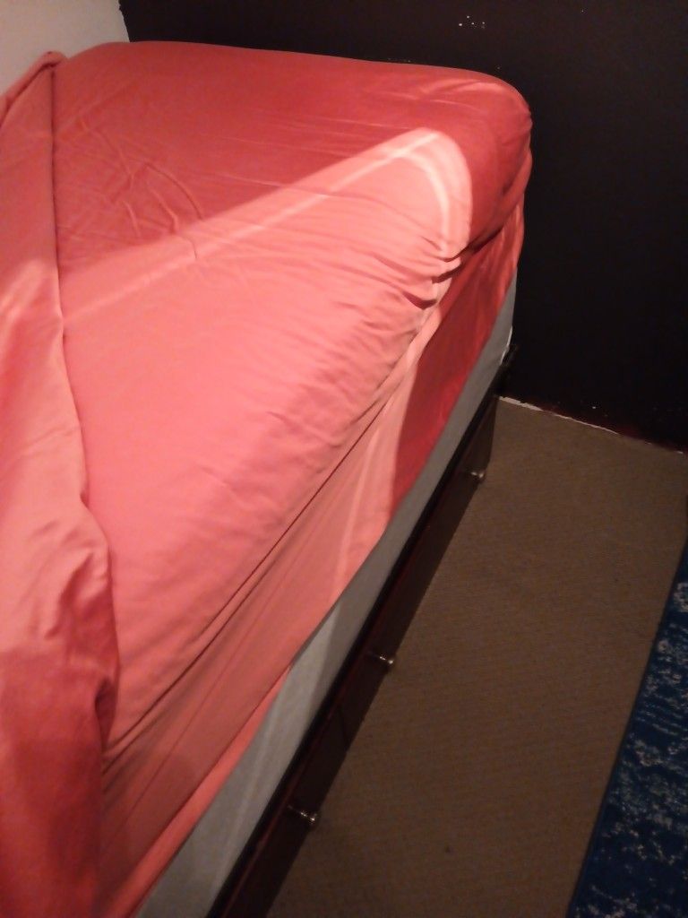 Brand New Sealy Twin Bed