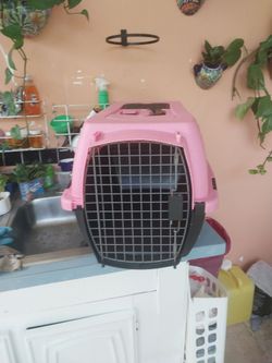 Jaula para transportar gatos