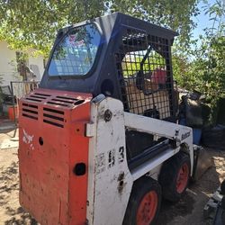 Bobcat For Sale