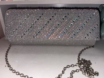 Silver Clutch Purse