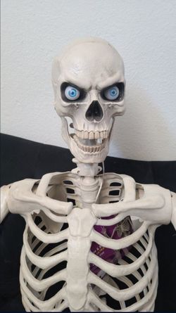 Skeleton