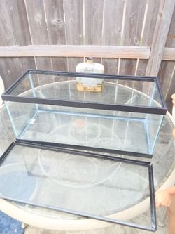 20 gallon tank