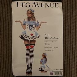 Miss Wonderland Costume