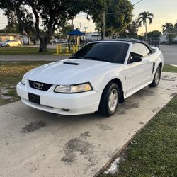 2000 Ford Mustang