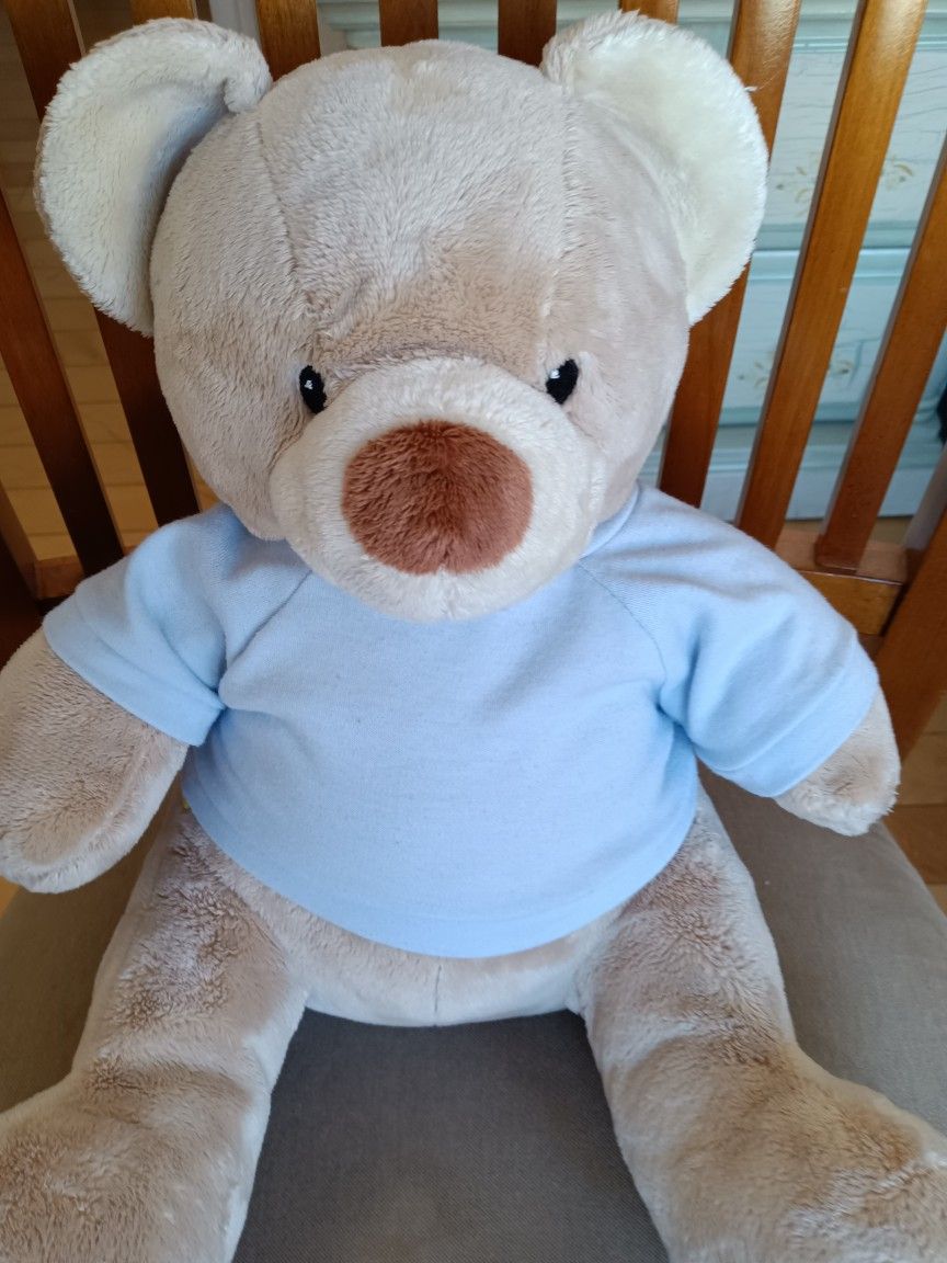 Valentine Teddy Bear