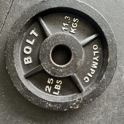 BOLT Weights 