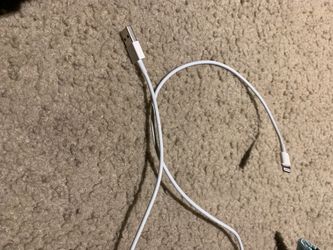 iPhone charger