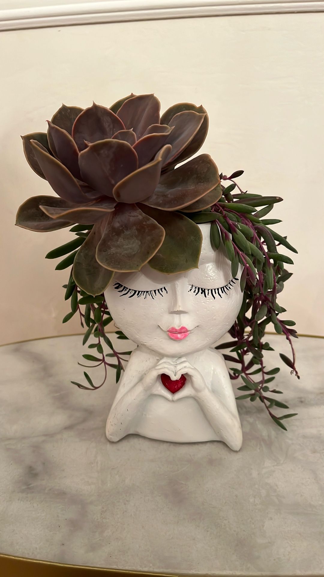 Succulent Arrangement