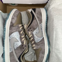 DS wNike dunk sb big money savings men’s 9.5