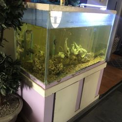 Free Fish Tank 150gals  Tall Tank