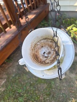 Hanging teacup