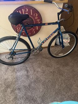 Vintage 90s Raleigh 