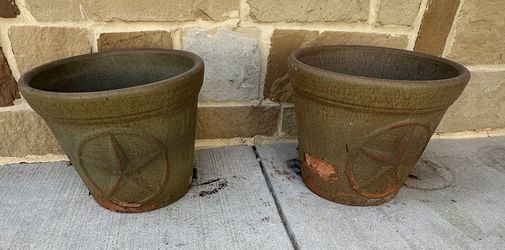 Texas Lone Star Palm Tree 🌴 Pots 