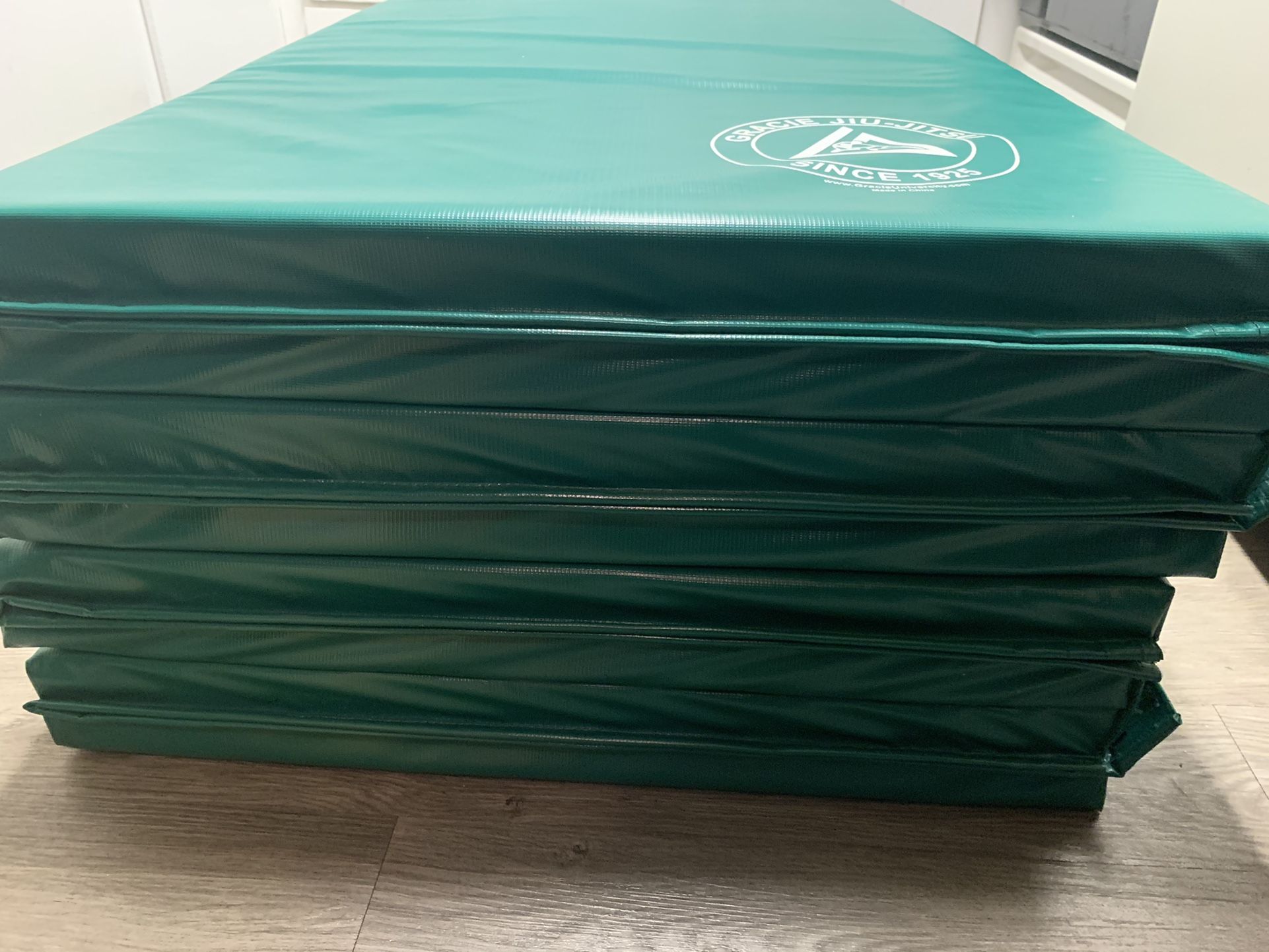 Gracie Jiu Jitsu MMA Muay Thai Grappling Mats