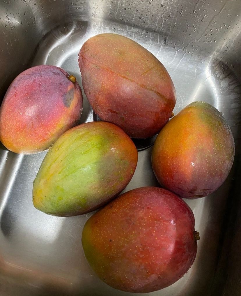 Extra Large Mangoes