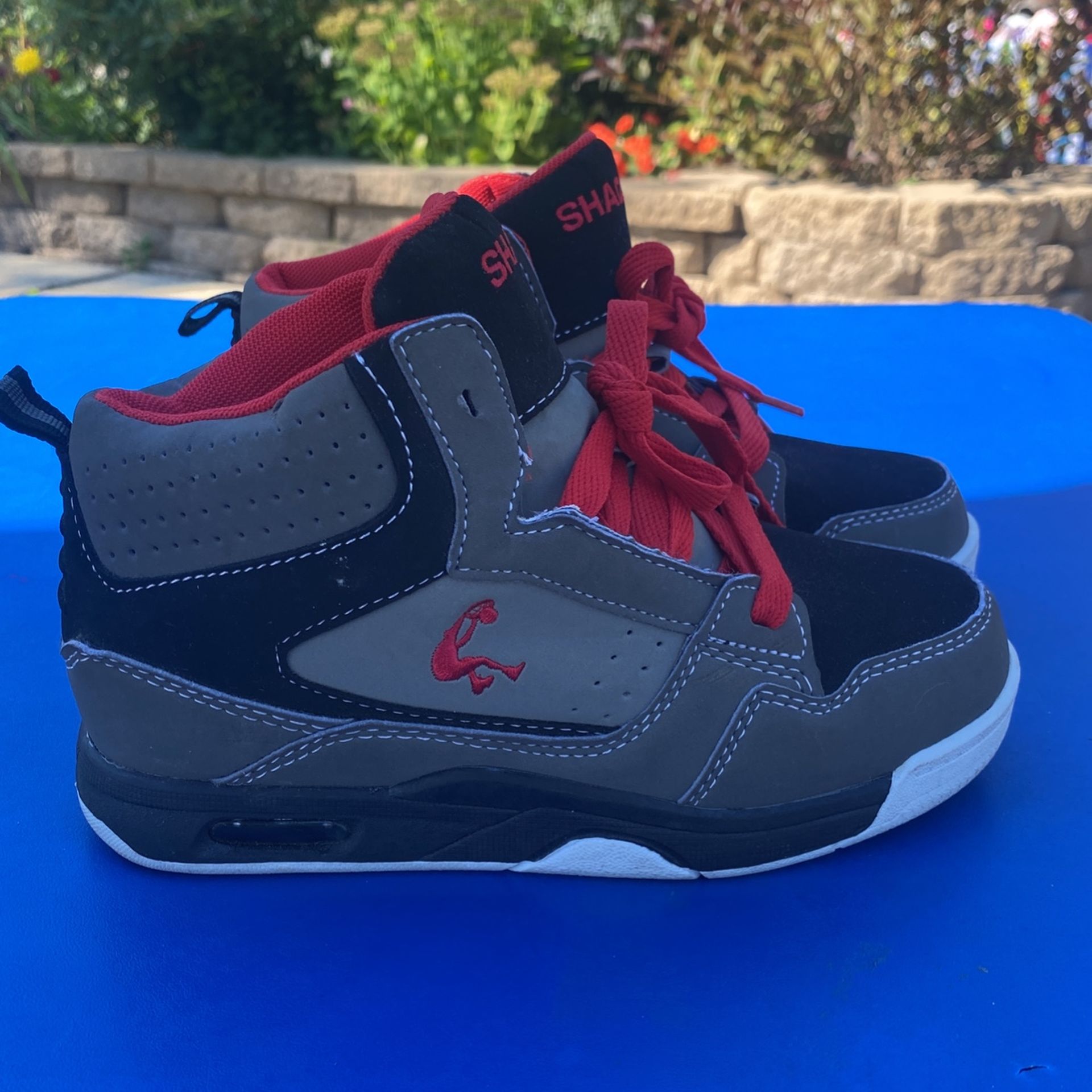 Boys Gym Shoes Size 2