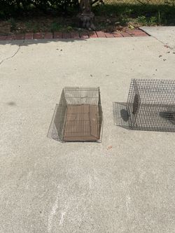 Animal Traps Wire set of 2